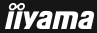 iiYama